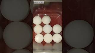 Mothballs 😍🤍 satisfying mothballs oddlysatisfying [upl. by Emmy]