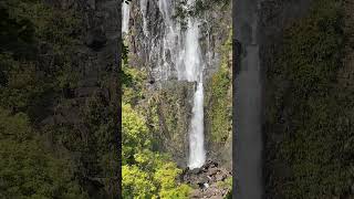 Bay of Plenty  Wairere Falls waterfall [upl. by Saiasi]