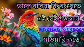 ডালে বসিয়া কি রংগেতে এই সেই গজলটা সকলের পছন্দের মায়াবি কন্ঠে bangla gozol ♥️♥️♥️♥️♥️♥️ [upl. by Imarej]