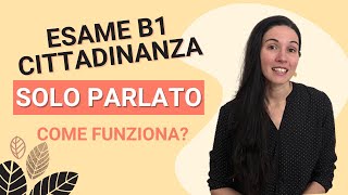 Esame B1 CILS cittadinanza solo orale come funziona [upl. by Jacobina170]