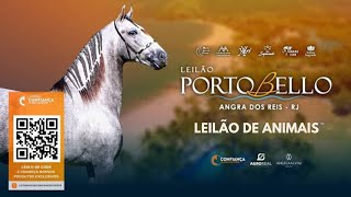 LEILÃO DE ANIMAIS PORTOBELLO [upl. by Atinod781]