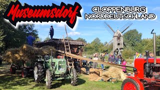 MUSEUMSDORF CLOPPENBURGERNTEN und ESSEN4K cloppenburg museumsdorf ernte traktor [upl. by Isewk806]