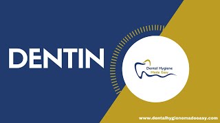 Histology of Dentin [upl. by Seeto]