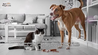 Funny Dog vs Cat Showdown – Max and Felix Whos the Winner [upl. by Ehtyde441]