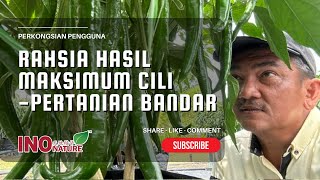 Cili Cili Batu 3  Pertanian Bandar sistem fertigasi [upl. by Nodnorb809]