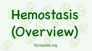 Homeostasis Overview vasoconstriction primary platelet plug secondary fibrin meshwork clot [upl. by Allemap]