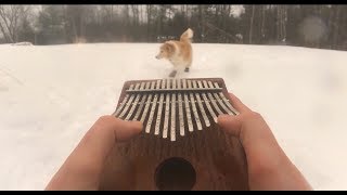 La Vie En Rose on a Kalimba [upl. by Moulton]