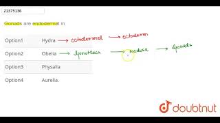 Gonads are endodermal in [upl. by Ingelbert]