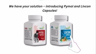 PymolLivcon Capsule Fast relieve I For Piles Fissure Fistula Inflammation amp Rectum [upl. by Llerryt]