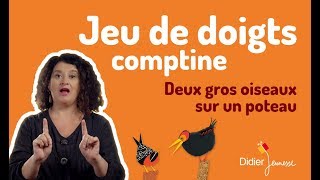 Deux gros oiseaux sur un poteau  Jeu de doigts  Comptine [upl. by Javier]