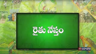 రైతునేస్తం  వివిధ పంటలలో వచ్చే చీడ పీడల యాజమాన్యం  Raithunestham  Phone in Live [upl. by Marieann819]