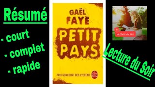 Résumé court et complet de Petit Pays Gaël Faye [upl. by Potash321]