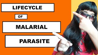 Lifecycle of Malaria Parasite for NEET with AnimationPlasmodium Life cycle Human Health and Disease [upl. by Eldwen819]