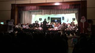 Finnegans Wake by the Ardee Concert Band [upl. by Zeuqcaj]