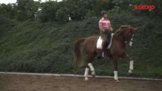 Bella Rose Isabell Werth Training 2011 [upl. by Enileuqcaj]