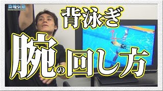 【水泳】オリンピック選手がアドバイスする背泳ぎの４つのコツ [upl. by Sheedy656]