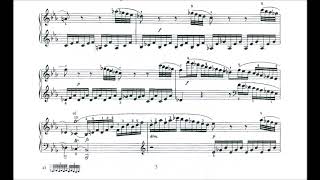 Franz Joseph Haydn Piano Sonata No 20 in C Minor [upl. by Easlehc]