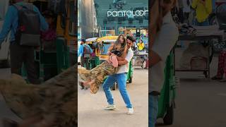 Rolling Prank on Cute Girl Purposing Prank😜 Rolling purposing ​⁠Lappusachin295 [upl. by Kenyon42]