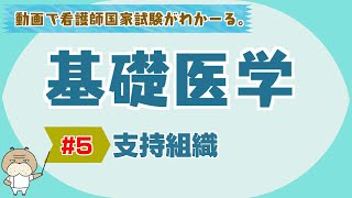 『基礎医学 5』支持組織【看護学生向け看護師国家試験講座】 [upl. by Bael]