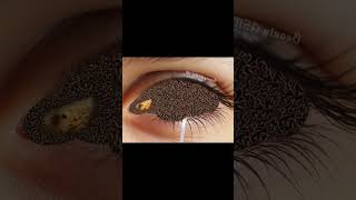 ASMR EYES  Treatment of the eyes  ASMR ANIMATION  shorts asmr short [upl. by Huston]