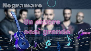 Negramaro Un amore così grande  karaoke [upl. by Lesig522]