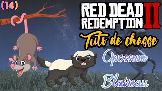 14 Tuto de Chasse BLAIREAU  OPOSSUM  Où Les Chasser  RED DEAD REDEMPTION 2 [upl. by Pals]