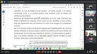 Derecho Procesal Civil 2 240918 [upl. by Ecylahs662]