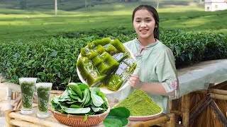 Refreshing Mesona Jelly Recipe from Freshly Harvested Leaves  Summer Cooking amp Gardening Tips [upl. by Aloel699]