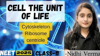 CELL THE UNIT OF LIFE  RIBOSOMES  CENTRIOLE  CENTROSOME  NEET 202526  NIDHI VERMA [upl. by Morrell]