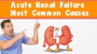 Acute Renal Failure Most common causes [upl. by Latin487]