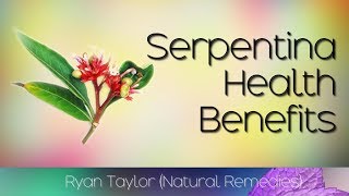 Serpentina Plant Health Benefits Serpentina Leaves [upl. by Atinomar]