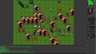 Tibia 74 Level 48 Paladin hunts in Plains of Havoc and begins Orc Fortress Quest [upl. by Stubbs]