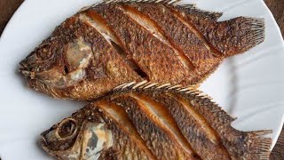 Lets Cook Fried Fish satisfying yummy asmr [upl. by Oirevlis192]