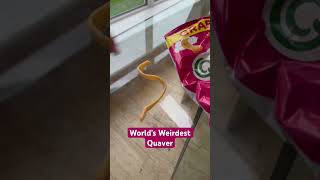 We found the world’s weirdest Quaver rare😂🤔 [upl. by Norraj775]