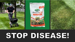 Stop disease in your lawn [upl. by Ymac]