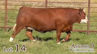 Lot 14 Anchor D Lawney 192L [upl. by Aniale997]