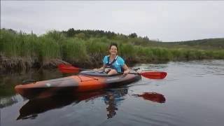 Kayaking the Quinebaug River [upl. by Cirek]