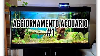 Aggiornamento acquario 1 [upl. by Nueovas872]