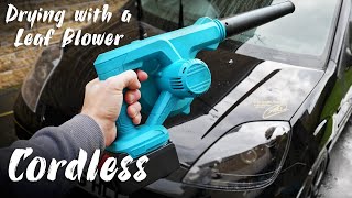 Drying Your Car Safely With A Cheap Cordless Leaf Blower ITS FUN [upl. by Jehiel]