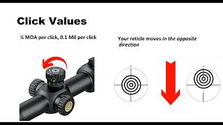 How To Adjust A Rifle Scope [upl. by Nnuahs731]