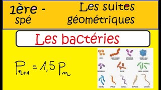 Première Spé MathsLes suites géométriques  les bactéries [upl. by Mauldon784]