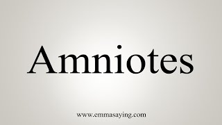 How To Say Amniotes [upl. by Rodger]