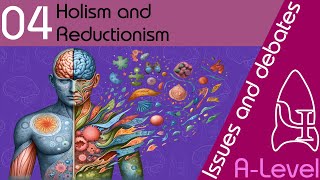 Holism and reductionism  Issues and debates ALevel Psychology [upl. by Inahpets683]