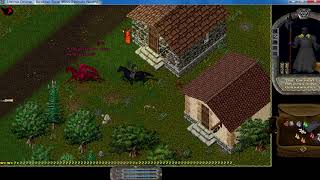 Ultima Online  The Rose Wons  ße Respectful [upl. by Noak]