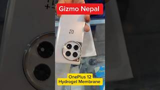 OnePlus 12 Hydrogel Membrane gizmonepal shorts oneplus12 hydrogel hydrogelmembrane [upl. by Barra]