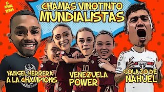 238 CHAMAS VINOTINTO MUNDIALISTAS  YANGEL HERRERA A CHAMPIONS  GOLAZO DE NAHUEL [upl. by Corley]