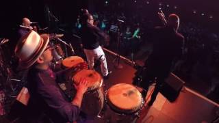 Pacific Mambo Orchestra live in Northern California [upl. by Kosse]