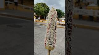 Elotes locos fiestas en Santiago Nonualco [upl. by Coulombe255]