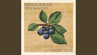 Heidelbeerblaue Hämorrhoiden [upl. by Jenette]