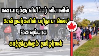 கனடாவுக்கு விசிட்டர் விசாவில் சென்றவர்களின் பரிதாப நிலை உணவுக்காக காத்திருக்கும் தமிழர்கள் [upl. by Arnon790]